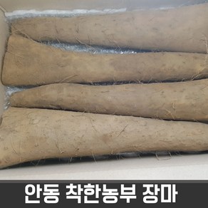 안동참마 알뜰 2 kg 적당크기 (24년 햇마), 1개, 장마중품2kg