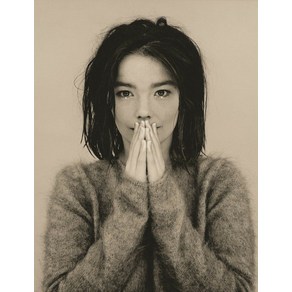 노 브랜드 BJORK SILK 포스트 벽 그림 24x36inch, no fame