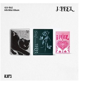 (여자)아이들 - I Feel (여자아이들 미니앨범 6집. 옵션 선택), 일반반 Queen Ve. (1CD)