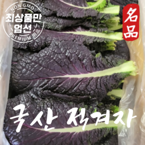 국내산 적겨자 쌈채소 알싸한적겨자 1kg, 1박스