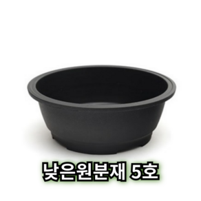 낮은 원형 분재 화분 원분재 플라스틱 분갈이 플분, 1개