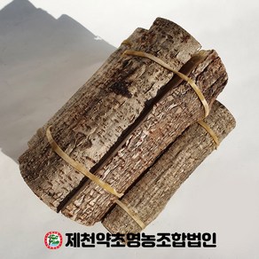 국산 옻나무 1단 제천약초영농조합, 1개