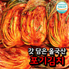 [갓 담은] 올 국산 100% 포기 김장 배추김치 생김치, 1개, 5kg