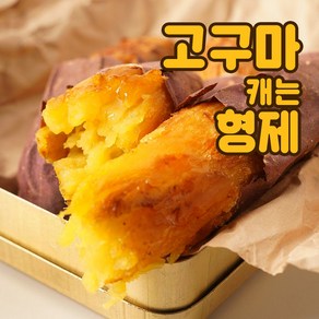 고구마캐는형제 서산 황토 꿀고구마, 꿀고구마 5kg 상, 1박스