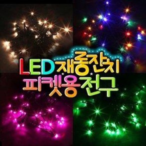 LED 재롱잔치 피켓용전구 / 건전지용 / 피켓조명, D타입/40구/투명선/파랑