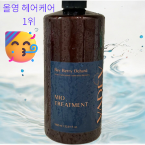 [본사정품] 바디브 헤어 트리트먼트 1000ml hai teatment, 메종드 펠리스향, 1개, 1L