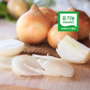 단단한 양파 유기농 햇양파 엔젤농장, 소 1kg, 1개, 소 1kg