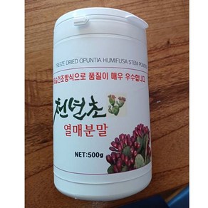 천년초 토종백년초 열매 분말가루, 1개, 500g