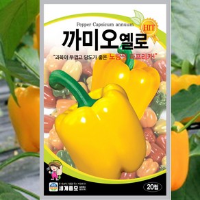 파프리카 옐로 씨앗, 1개