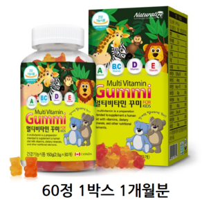 네추럴라이즈 멀티비타민 꾸미 60p, 30회분, 1개