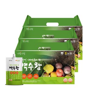 미쁨생활건강 하루야채 100가지 야채수 야채스프 백수왕 100ml, 2.5L, 3개