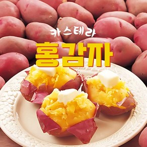 카스테라 홍감자 포슬포슬 산지직송 햇감자, 1박스, 3kg(대/120g이상)