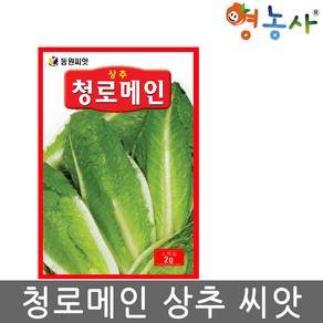 청로메인 씨앗 2g 로메인 상추씨 종자 키우기 영농사, 청로메인상추, 1개