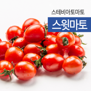 스테비아 스윗마토 레드 망고향 방울토마토 빨간 대추방울토마토 토망고, 500g, 2개