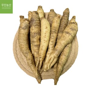 생더덕 신선더덕 더덕 중국산더덕 세척더덕4kg, 1개, 4kg