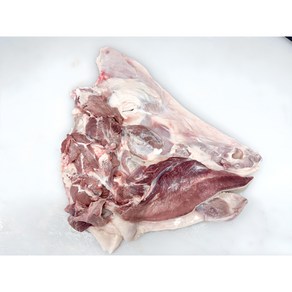 한우 암소 소머리 반마리(우설포함) 4~5KG, 반개, 1개, 5kg