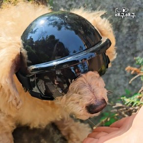 애구애구 강아지 모자 바이크 헬멧, 1개