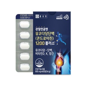 뮤코다당단백 콘드로이친 콘드로이틴 1200 900mg 60정, 1개