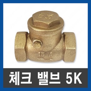 체크 밸브 5k 청동 스윙 신주 나사 역류방지 25A 32A, 체크밸브5K 25A (수입), 1개