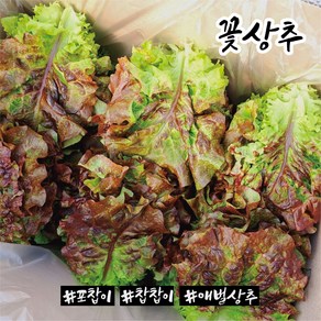 꽃상추 4kg 1박스 농장직송 당일포장 포찹상추, 1개