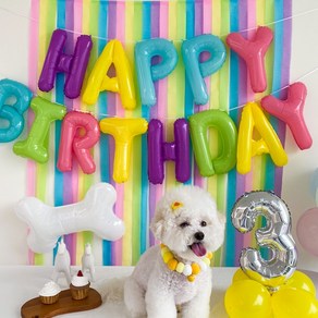 메리파티 강아지 생일파티용품 고양이 펫 생일상 풀세트, 1세트, HBD 젤리팝 세트