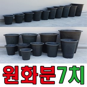 세이프24 원화분 나무화분 원형화분 국화분 꽃화분 블루베리화분, 1개, 검정