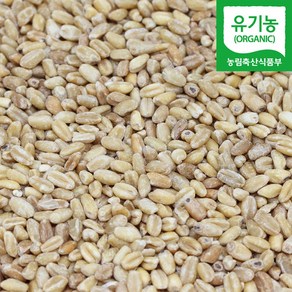 직송 국산 유기농 통밀쌀 통밀, 1kg, 1개