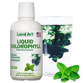 Liquid Chloophyll Mint Flavoed – Cold Extacted fom wild Non-GMO Alfalfa - Alkaline - Natual Bod, 16 Fl Oz (New Bottle), 1개, 473ml