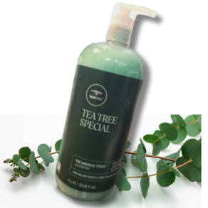 [[[두피모발케어]]] 폴미첼 티트리 스페셜 샴푸 PAULMITCHELL TEATREE SPECIAL SHAMPOO 쿨링효과 미용실추천 상쾌한느낌 시원한향 민트향, 1L, 1개