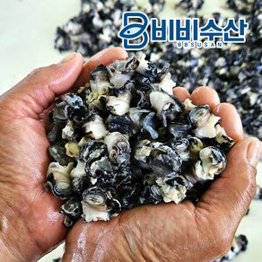 국산 우렁이살1kg(순우렁살700g 물300g)