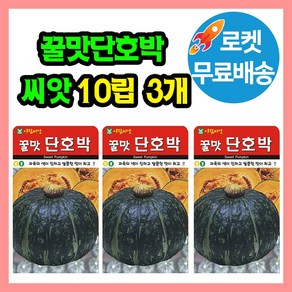 꿀맛 단호박 씨앗 (합 30립) 호박씨 단호박종자, 3개