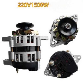 220V 터빈 제네레이터 모터 영구자석 발전기 풀리 1500w, 220V800W 발전기, 1개