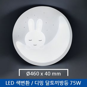 하이룩스 LED 달토끼 색변환 디밍 리모컨 방등 75W, 화이트