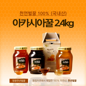 [천년벌꿀] 100% 자연산 아카시아꿀 2.4kg, 1개