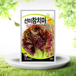 흙닷컴 선미참치마씨앗 3000립 선미참치마 여름 상추 씨앗, 1개