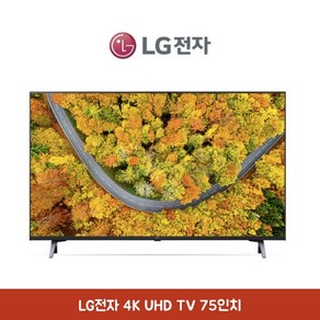 LG전자 75인치 4K UHD TV AI ThinQ 에너지효율 1등급, 스탠드형, 방문설치