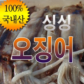 국내산 오징어 한박스 20-30마리 냉동 태안 신진항, 오징어 중소 25~30마리한박스