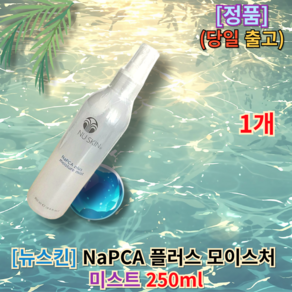 <뉴스킨 플러스 모이스처 미스트> [[보습부문First place]] Newskin Moisturist Newskinmist