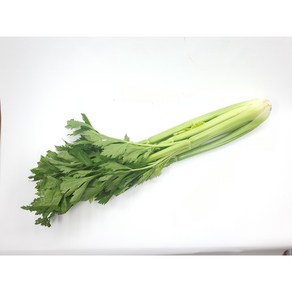 싱싱한 샐러리 1단, 1개, 100g