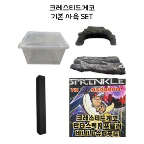 크레스티드게코 릴리화이트 랜덤모프, 크레스티드게코 기본 사육 SET, 1개