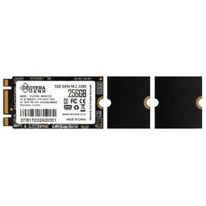 VIVA 300s M.2 LITE SSD, 256GB