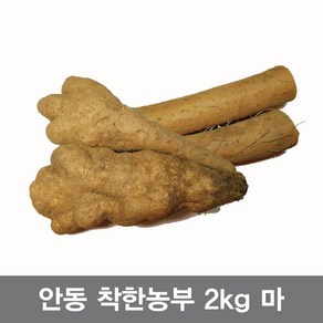 안동참마 알뜰 실속 5kg (크기크고 조금 울퉁불퉁), 1개, 참마알뜰2kg