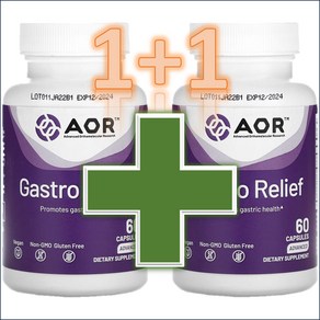 AOR 매스틱검 알긴산 아연 카르노신 생강 Gasto Relief 60 캡슐 약들약 고약사 / 해외직구 미국정품, 성인남녀공용, 2개, 60회분