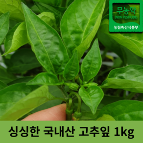 국산 국내산 생 고추 잎 1kg 부드러운 고춧 잎 싱싱한 신선한 나물 무침 제철음식 고추순 나물 풋 고추 잎, 1개