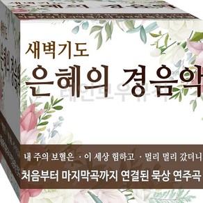 2CD 찬양 복음 은혜 힐링 새벽기도 경음악 배주의보혈은 이세상험하고 CD2 연주 음반