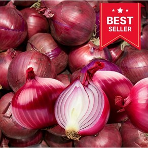[전문가추천]미니양파 샬롯 shallot, 1박스, 1kg