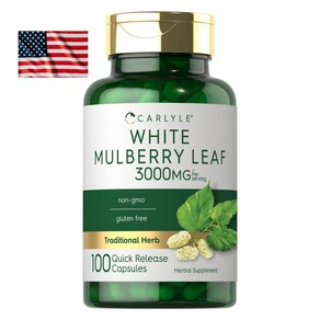 미국 Carlyle Mulberry Leaf 3000mg 100캡슐 멀베리 뽕잎 추출물 칼라일 뽕나무 고함량 대용량 직구