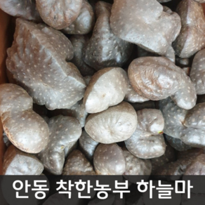 햇 하늘마 5키로 중소크기(정직을 배달합니다)