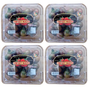 블랙 스윗마토 스테비아 대추방울 토마토 2kg (500g x 4), 2개