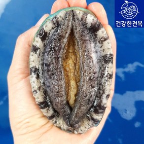 완도활전복 1kg [산소팩 무료배송]